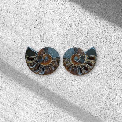 Ammoniet geode paar