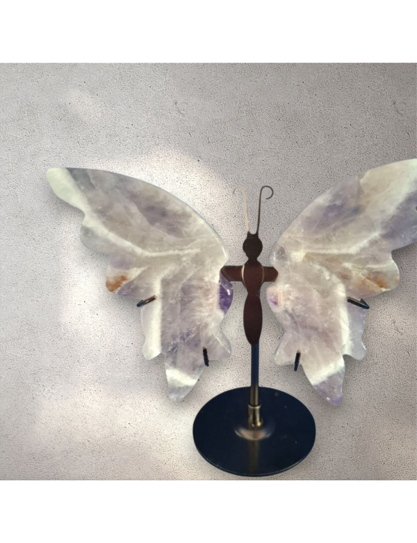 Amethist vlinder Amethist vlinder