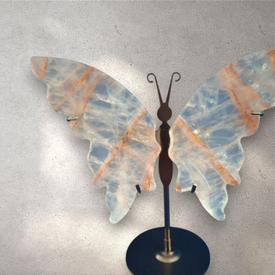 Vuurkwarts vlinder