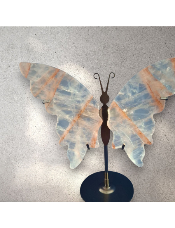 Vuurkwarts vlinder Vuurkwarts vlinder